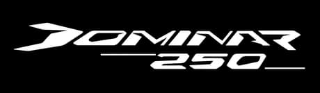 Dominar 250